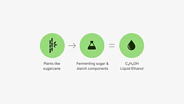 e-NRG Science of Bioethanol Artwork